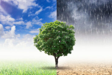 cambio climático