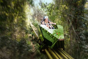 parque selvatica