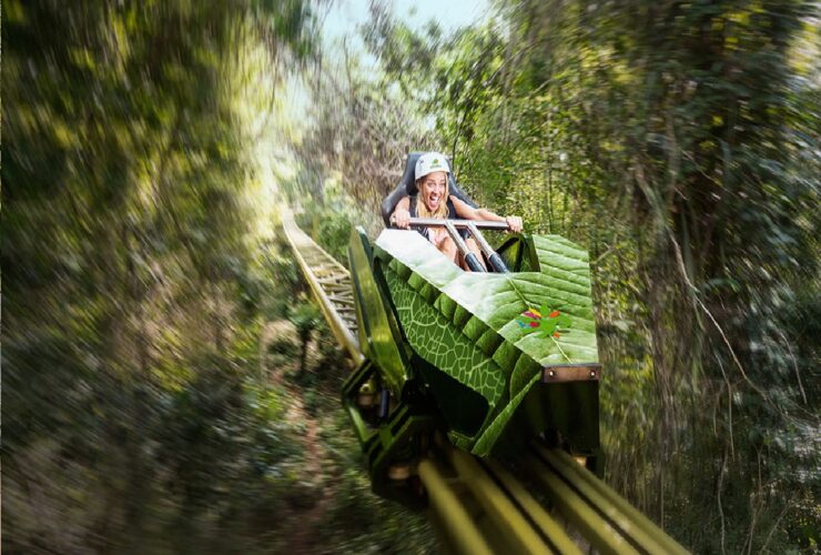 parque selvatica