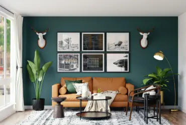 decoracion