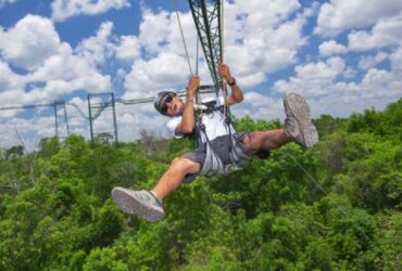 SELVATICA