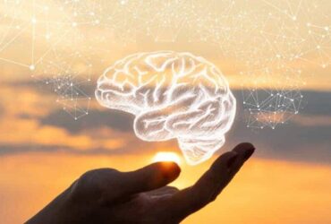 La increíble conexión entre la neurociencia y la meditación