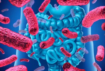 microbiota intestinal