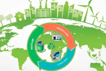 Economía Circular: El Futuro de la Sostenibilidad