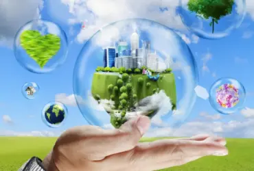 ¿Cómo implementar el comercio sostenible en tu empresa y marcar la diferencia?