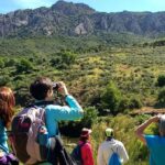 La guía definitiva del turismo rural en España: Descubre cómo disfrutar de la naturaleza y la cultura
