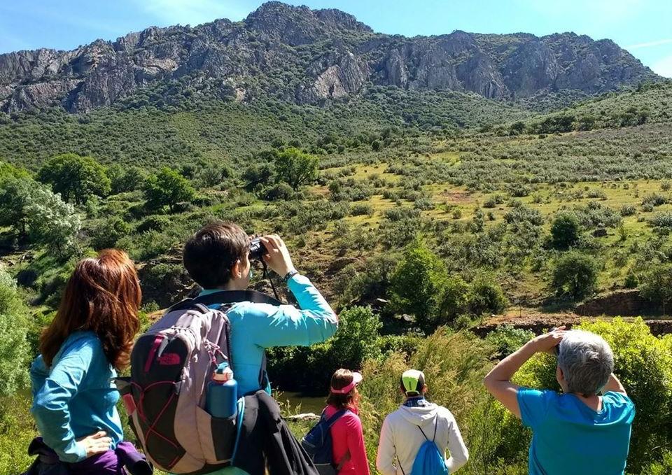 La guía definitiva del turismo rural en España: Descubre cómo disfrutar de la naturaleza y la cultura