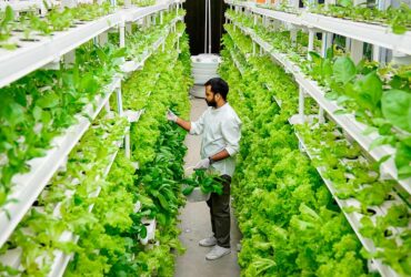agricultura