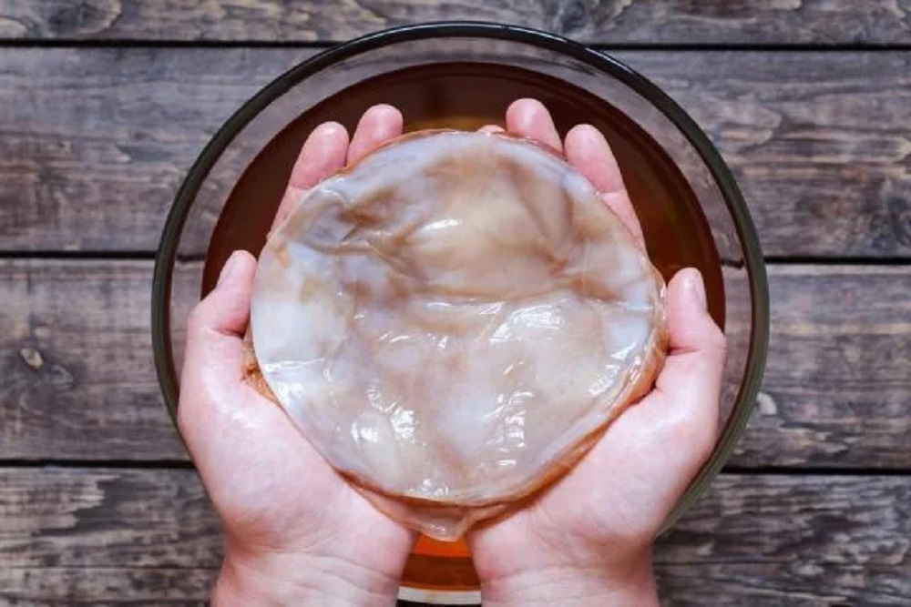 propiedades kombucha